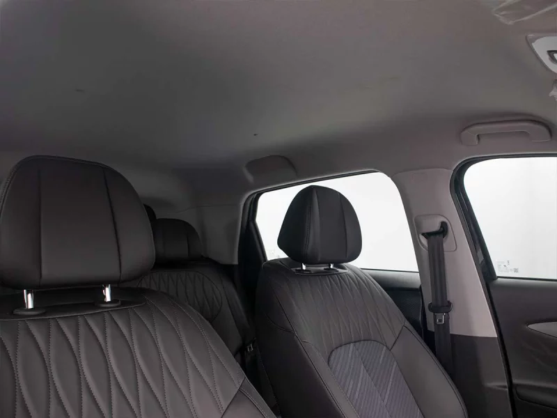 Vehicle Image for 20/24for Lepas L4 1.5 Amur