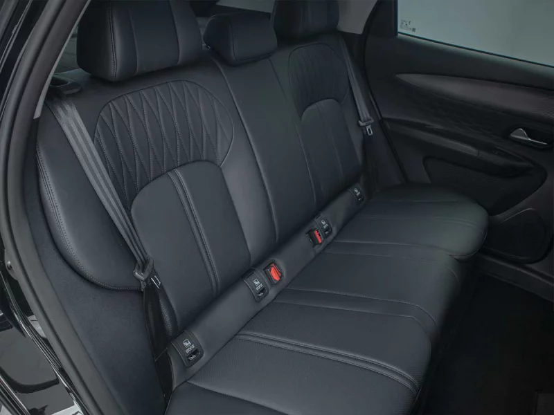 Vehicle Image for 24/25for Lepas L4 1.5T Pantera DCT