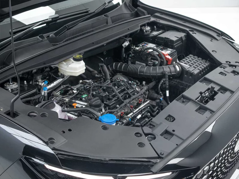 Vehicle Image for 9/24for Lepas L4 1.5T Pantera DCT