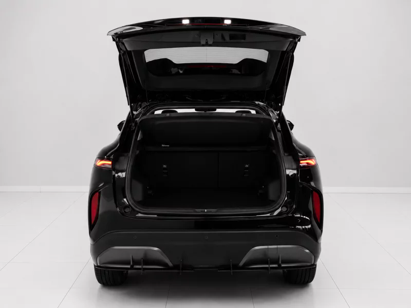 Vehicle Image for 12/23for Lepas L4 1.5T Pantera DCT