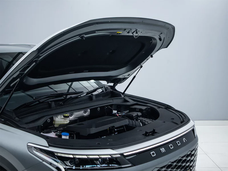 Vehicle Image for 8/18for OMODA C9 2.0T Inspire