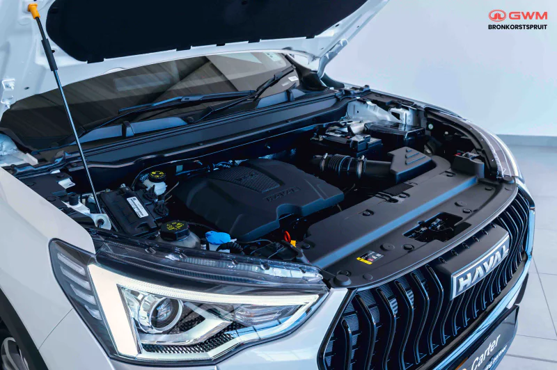 Vehicle Image for 9/21for Haval Jolion 1.5T City 6MT